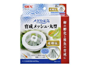 GEX WFbNX _JC 琬bV ی^ Yt