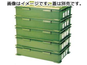 WAKAIZUMI 򎽊 p@Rei[@RC|350@^@{