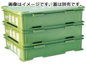 WAKAIZUMI 򎽊 LO@p@Rei[@RC|400@{