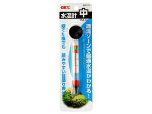 GEX WFbNX v  TM-34