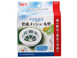 GEX WFbNX _JC 琬bV ی^