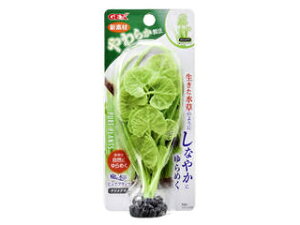 GEX WFbNX i sAvc `hOT