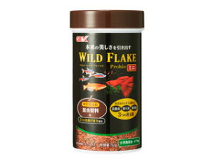 GEX WFbNX Cht[N voCI ~j 52g