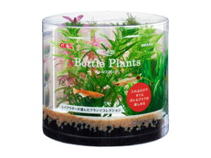 GEX WFbNX i {gvc ~ItB