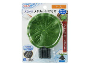 GEX WFbNX _Ji _Ĵ葐 nX