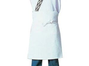 Servo T[H TVRO|@A-36(zCg)