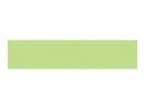 NICHIBAN/j`o yPetit Joie/v`WAz}XLOe[v CgO[ PJMT-15S059