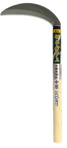 zEl~L L HS-022 ؂ҎQ Аn