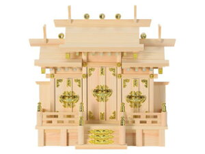 SHIZUOKA É؍H ႢO()