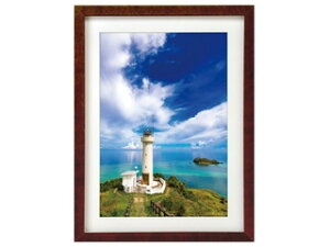 HAKUBA nNo FWMM01-BRA4A(uE) ؐz AN X^ht