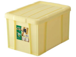 RISU X |vs@p^@̒M@36^(Wt)