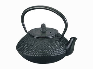 IKENAGA 池永鉄工 ITK6618 急須 宝山