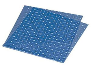 FUKUSUKE H C~@ʐ^@i100j