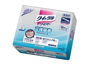 Kao ԉ NCbNCp[̋zEFbgV[g^Ɩpi30j