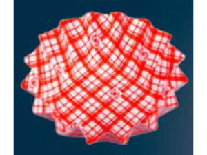 AZUMI Ad~Y RREP[Xi500jی^@Ђ܂@@