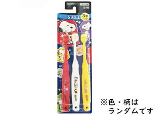 EBiSU GrX quV Xk[s[ 6ˈȏ 3{pbN 炩 B-6362