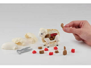 KnEX@MegaHouse ꓪIWMXJpY