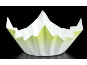 SNT I ~jFa250^ΐF@SKA151