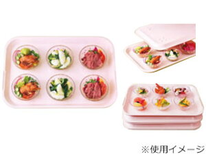 KANTOH �֓��v���X�`�b�N�H�� FRP �v���Z�b�g�g���[ H-6000 440×310×H28