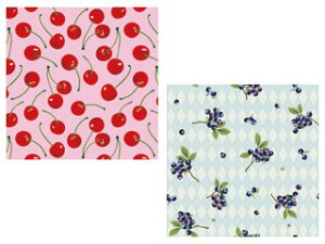 ARTE Ae 肪݁@2×10 v20@QA-06 @yTCYF150×150mmz ywagamizycraftzyAWzyorigamiz