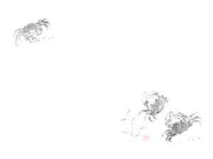 KAMIISO �J�~�C�\�Y�� ��3�e�[�u���}�b�g100�����^�򂪂Ɂ@No.106