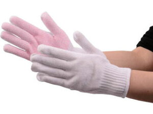 TRUSCO/gXRR p ׂ~ߎ 10G TGAGW-10G