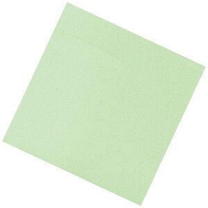 artec A[ebN Fʑϖi100jO[@TA|C09GN