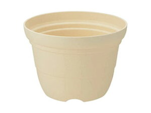 Richell b`F Ђ |bg 6 x[W