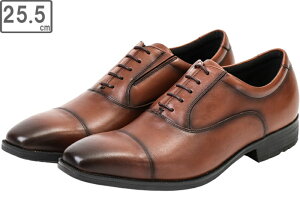 �A�V�b�N�X���� �y�����Y�z�r�W�l�X�V���[�Y texcy luxe/�e�N�V�[�����N�X�y3E�zTU-7010