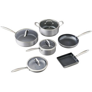 IRIS OHYAMA ACXI[} _ChOCX 10_Zbg Vo[ DG-SE10