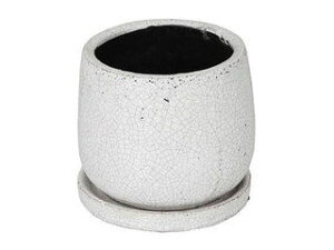 DULTON �_���g�� DULTON �O�[�Y�h�|�b�g���E���h�@M white K655-851MWT
