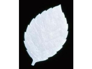 artec A[ebN ԍRۘat^lG200^@@LF|S