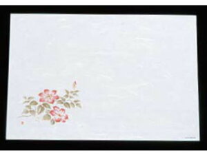 artec A[ebN ԍRۘa3܂100^@S@WS|12