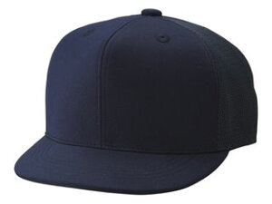 SSK GXGXPC BSC45 RXqiZbV^Cvj yMz iDlCr[j