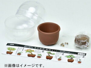 SEISHIN V| ĂJvZ ~j~ 4s GD-954