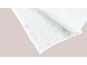 EBM ] EBM@~[t@@Rۂӂi12j330×450@