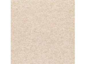 Watanabe/���^�i�x�H�� �^�C���J�[�y�b�g �A�C�{���[ 50cm×50cm PX-3011