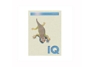 mondi/fB ymondi/fBzoCIgbvJ[PPC A4 O[ BT509 500