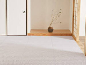 ���� �n�M�n�� PP����~ �p�X���b�V�� PU �]�ˊ�8�� 81961880 �p�[�v�� ���[�J�[���� �����s�� �J�[�h���ς̂ݑΉ� ����E�k�C���E�������͂����тɎ��Ԏw��s��