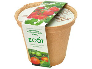 SEISHIN V| GD-41109 GRbg M ~jg}g