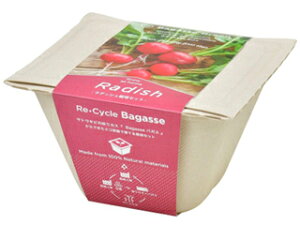 SEISHIN V| GD-95301 oKXO[ fBbV