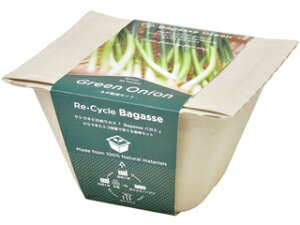 SEISHIN V| GD-95305 oKXO[ lM