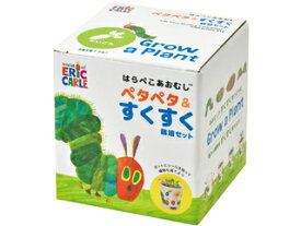 SEISHIN 聖新陶芸 HP-0102 ハラペコアオムシ 栽培セット大根