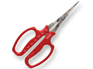 ARS AXR[|[V ԂǂE n ܓ 321DX-T