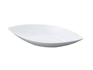 WAKAIZUMI 򎽊 j[zCg@M`@42cm