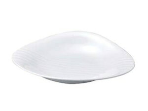 WAKAIZUMI 򎽊 j[zCg@H`v[g@35cm