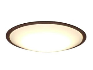 u[J[݌ɌI͂߂ɁIv IRIS OHYAMA/ACXI[} CL6DL-5.11WFV-M(EH[ibg)LEDV[OCg  5.11 Ebht[`6FRt