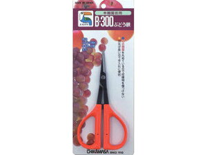 CHIKAMASA ߐ Ԃǂ ^ BP B-300