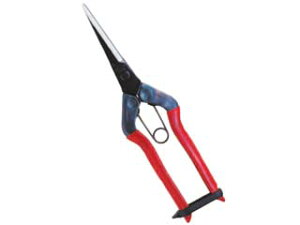 CHIKAMASA ߐ {E|p@O@T|570