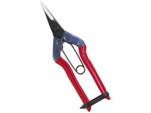 CHIKAMASA �ߐ� �E���� �뒼�n �ܓ� T-500